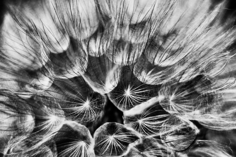 4 class marchetti marco-vol au vent