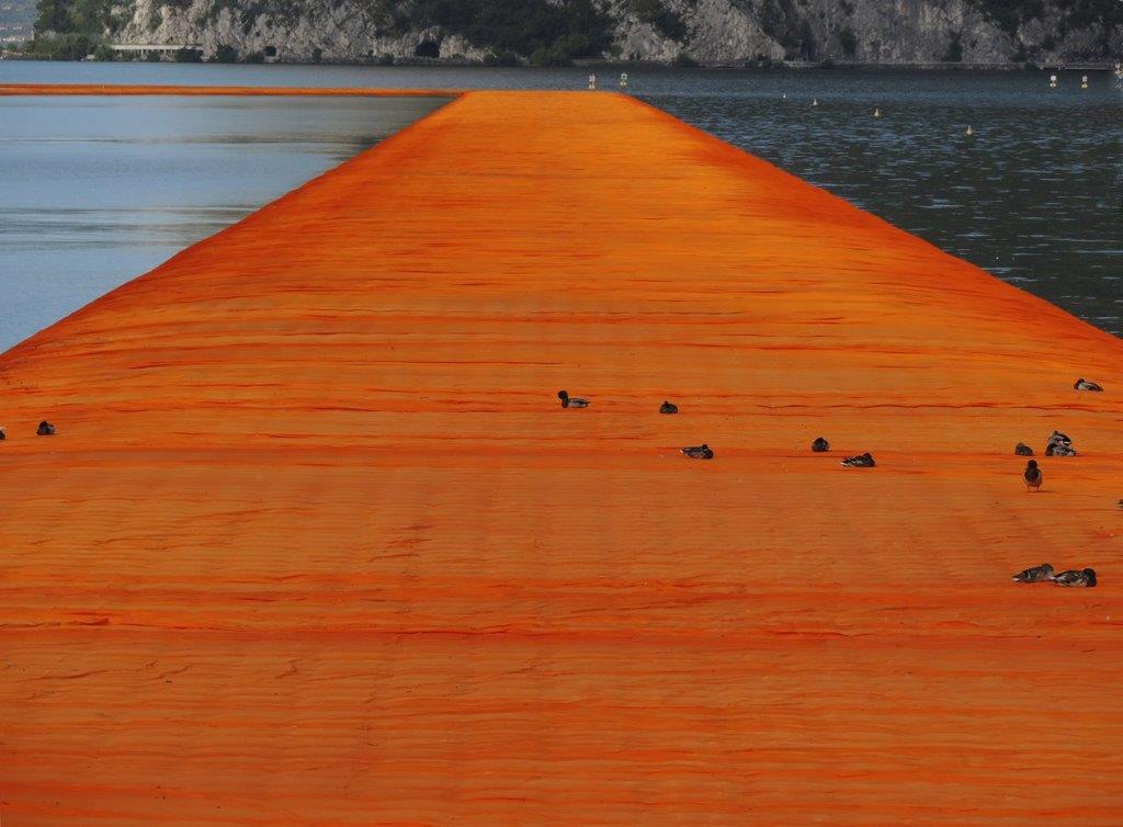 5-classif-chiari-albino-passerella