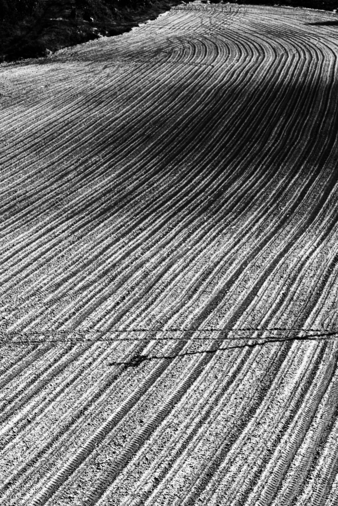 web 1 classif marchetti marco 19