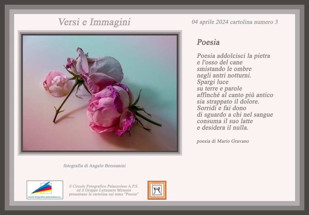 Versi e Immagini – Cartolina&nbsp;n°3