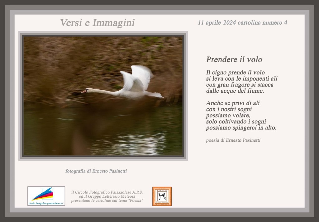Versi e Immagini – Cartolina&nbsp;n°4