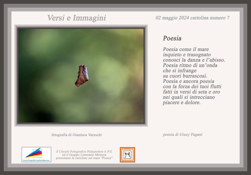 Versi e immagini – Cartolina&nbsp;n°7