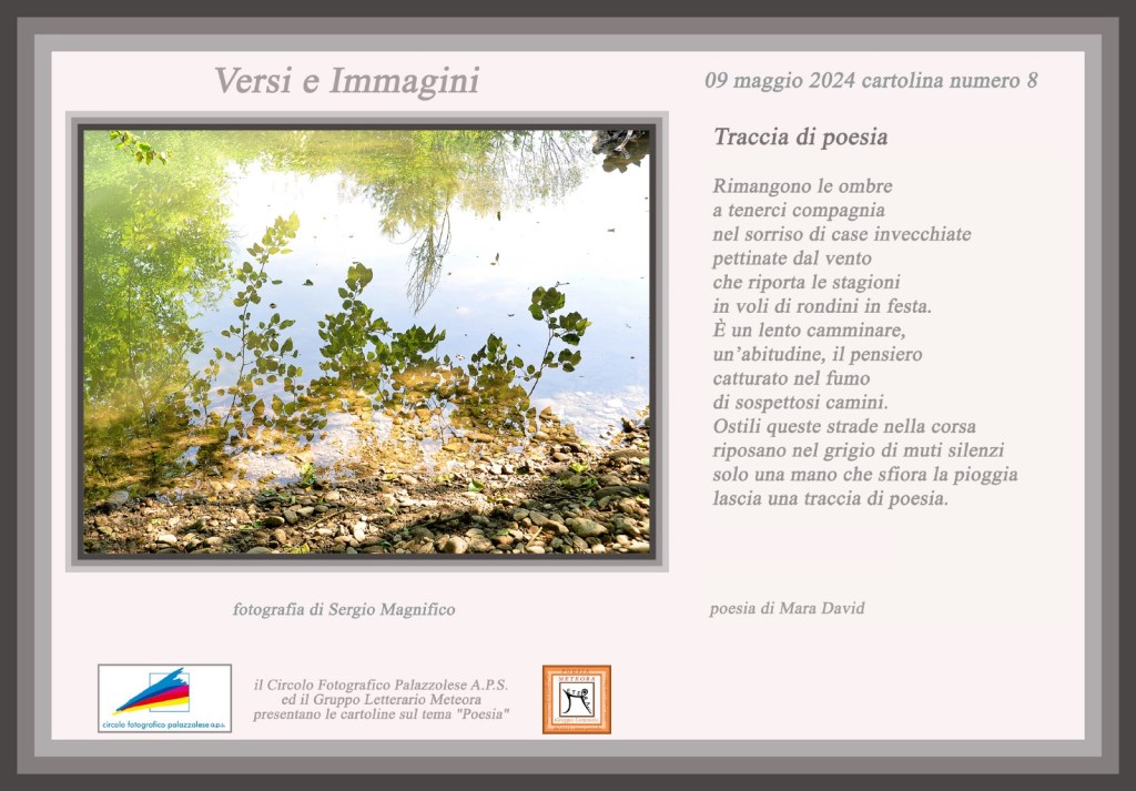 Versi e immagini – Cartolina&nbsp;n°8
