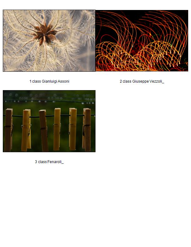 Premio Mario Pedrali