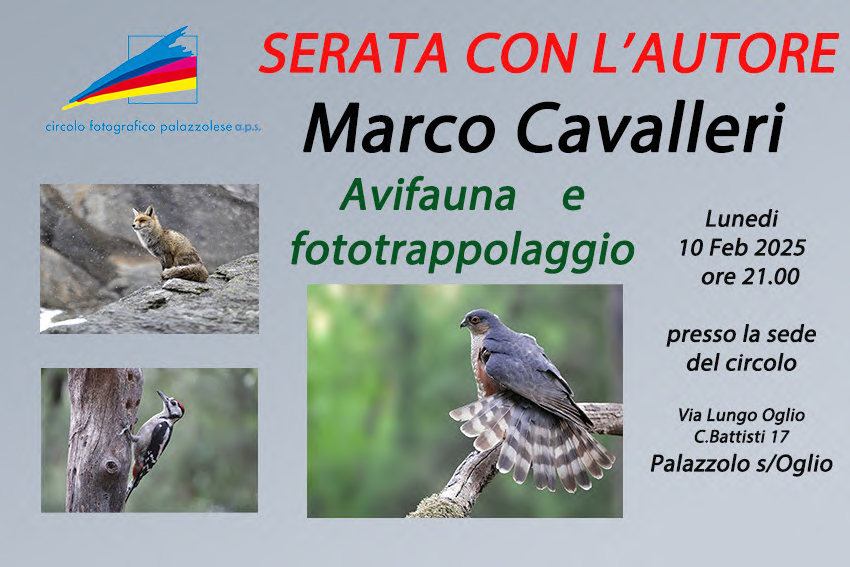 Serata con l’autore