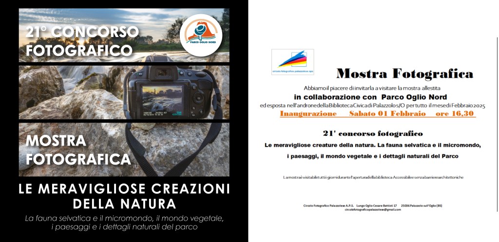 Inaugurazione mostra Androne
