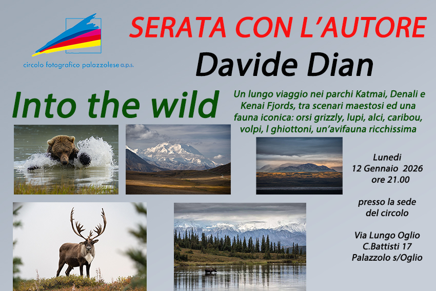 Articolo senza titolo 4632